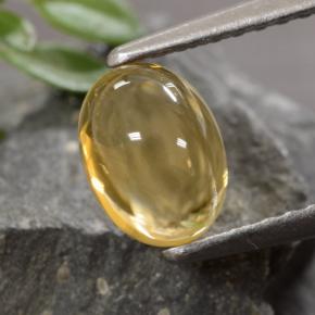 Citrine doré naturelle coupe ovale, 1,07 ct, transparent