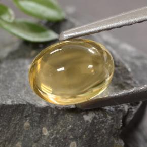 Citrine doré naturelle coupe ovale, 1,07 ct, transparent