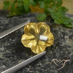 Citrine Jaune foncé naturelle Taille Fleur, 1.67 ct, Transparent