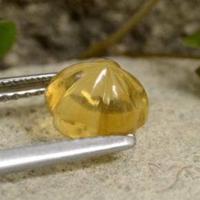 Citrine Jaune miel naturelle Taille Fleur, 1.61 ct, Transparent