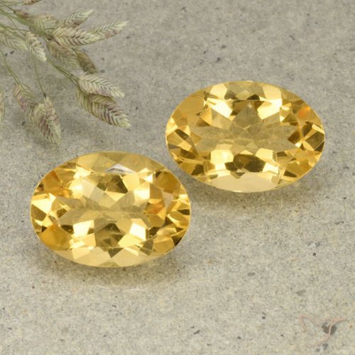 Achetez naturel 9,74ct doré citrine gems, coupe ovale, en provenance brésil chez gemselect. en stock, livraison internationale!