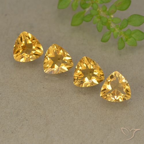 Shop natural 2.63ct Doré vif Citrine gems, Trillion, from Brésil at GemSelect. In stock, global shipping!