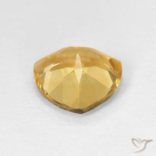 Citrine Top Gold naturelle Trillion, 1.58 ct, VVS-VS