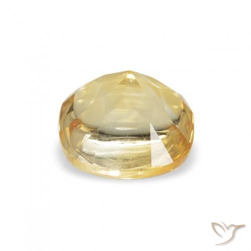 Citrine Jaune doré léger naturelle Coussin, 0.66 ct, Transparent