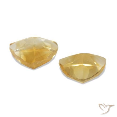 Shop natural 0.70ct Or Citrine gems, Trillion, from Brésil at GemSelect. In stock, global shipping!