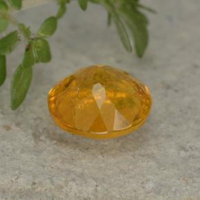 Clinohumite Jaune doré naturelle Coupe roude, 1.35 ct, VS-SI