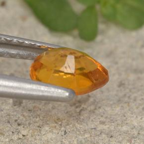 Clinohumite Jaune orange naturelle En forme de poire, 0.43 ct, VS-SI