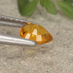 Clinohumite Jaune orange naturelle En forme de poire, 0.37 ct, VS-SI