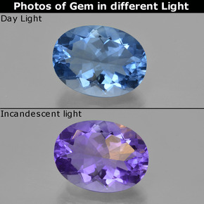Fluorite avec changement de couleur Violet à bleu naturelle Coupe ovale, 20.45 ct, VS