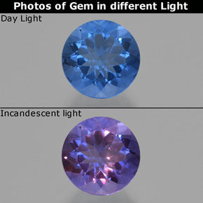 Fluorite avec changement de couleur Bleu marine intense naturelle Coupe roude, 11.19 ct, VS