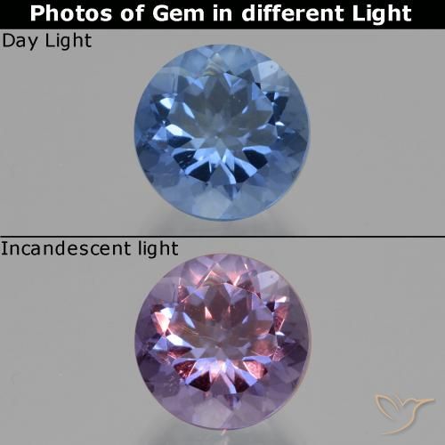 11.08ct Naturel Bleu marine intense Fluorite avec changement de couleur, Tour, VS