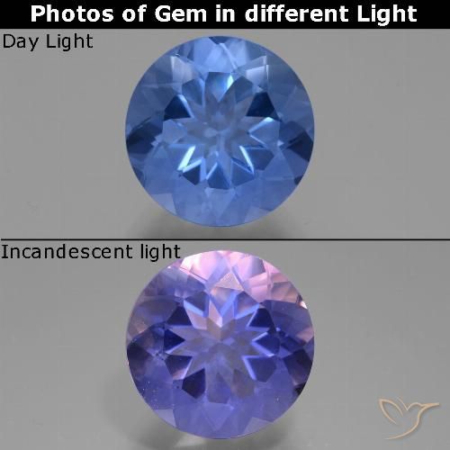 11.61ct Naturel Bleu foncé Fluorite avec changement de couleur, Tour, VVS-VS
