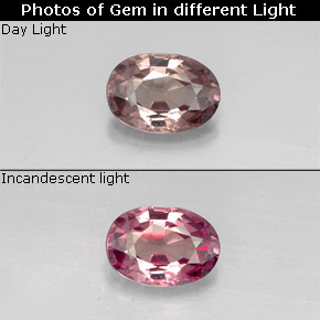 Grenat à changement de couleur multicolore naturelle coupe ovale, 0,76 ct, VVS
