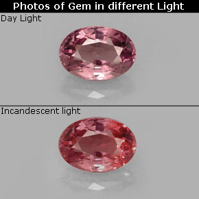 Grenat à changement de couleur multicolore naturelle coupe ovale, 0,61 ct, VS