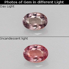 Grenat à changement de couleur multicolore naturelle coupe ovale, 0,66 ct, VS-SI