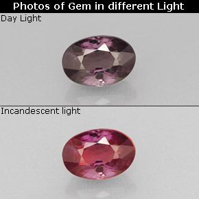 Grenat à changement de couleur multicolore naturelle coupe ovale, 0,68 ct, VS