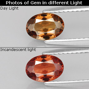 Grenat à changement de couleur  naturelle coupe ovale, 0,91 ct, VS