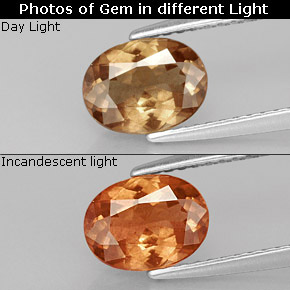 Grenat Couleur Changeant Brun Doré à Orange naturelle Coupe ovale, 1.37 ct, VS