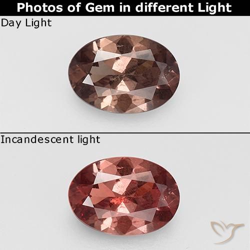 0.74ct Naturel Brun caryer Grenat Couleur Changeant, ovale, VS