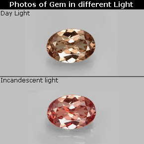 Grenat à changement de couleur multicolore naturelle coupe ovale, 0,75 ct, VVS-VS