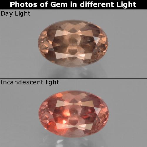 Grenat à changement de couleur marron naturelle coupe ovale, 0,73 ct, VS