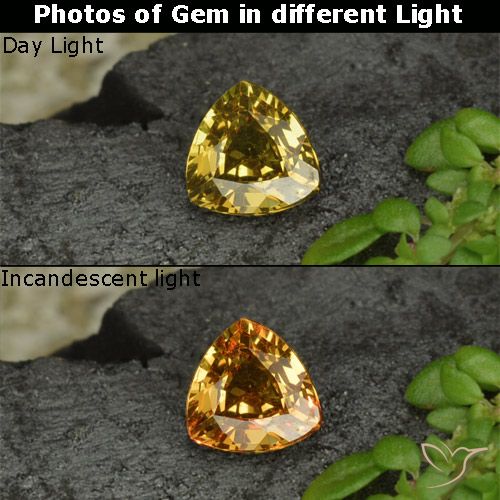 Grenat à changement de couleur jaune naturelle trillion, 0,61 ct, VS