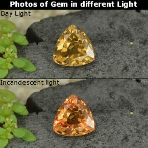Grenat Couleur Changeant Jaune doré naturelle Trillion, 0.78 ct, VS