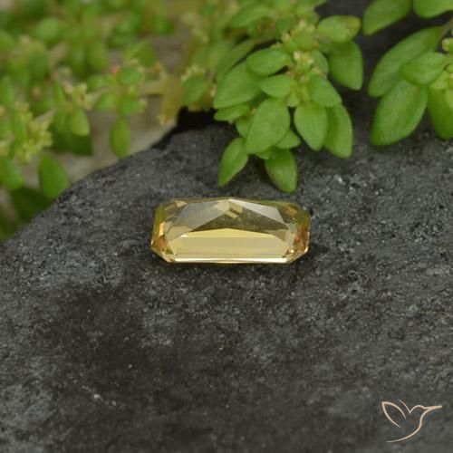 Grenat Couleur Changeant Jaune pâle naturelle Octogone / coupe Émeraude, 0.73 ct, VVS