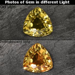 Grenat à changement de couleur doré naturelle trillion, 0,64 ct, VS