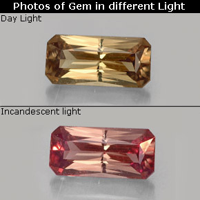 Grenat à changement de couleur multicolore naturelle taille émeraude, 0,73 ct, VS