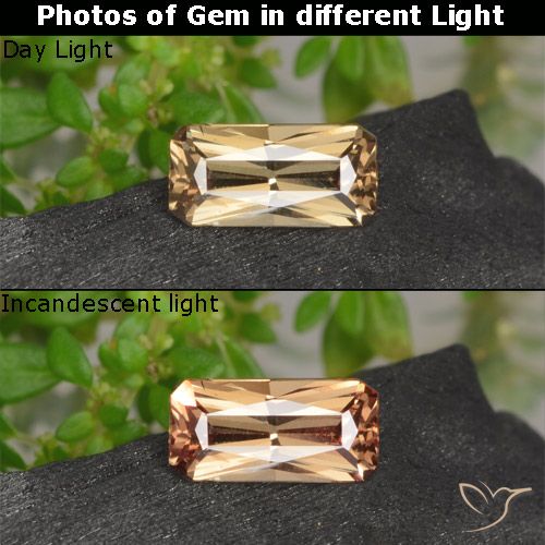 0.62ct Naturel Brun doré Grenat Couleur Changeant, Taille émeraude, VVS-VS