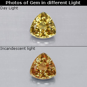 Grenat Couleur Changeant Brun Doré à Orange naturelle Trillion, 1.12 ct, VVS-VS