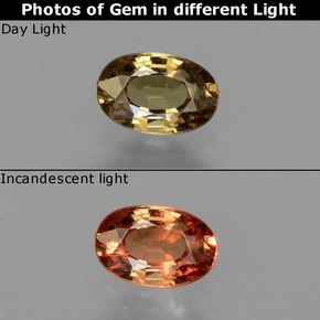 Grenat à changement de couleur multicolore naturelle coupe ovale, 0,56 ct, VS