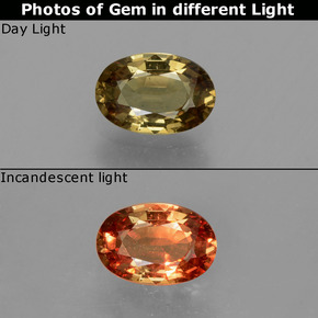 Grenat à changement de couleur multicolore naturelle coupe ovale, 0,64 ct, VVS-VS