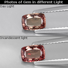 Grenat à changement de couleur marron naturelle coupe coussin, 0,76 ct, VVS-VS