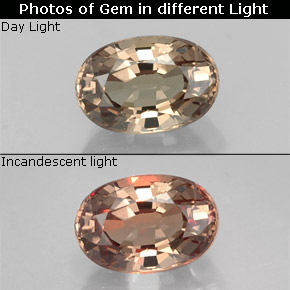 Grenat à changement de couleur de couleur changeante naturelle coupe ovale, 0,79 ct, VVS
