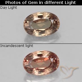 Grenat à changement de couleur marron naturelle coupe ovale, 0,71 ct, VVS-VS