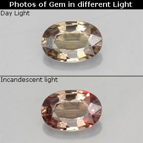 Grenat à changement de couleur multicolore naturelle coupe ovale, 0,53 ct, VVS