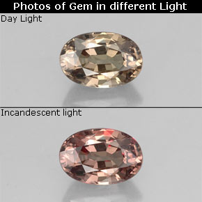 Grenat à changement de couleur de couleur changeante naturelle coupe ovale, 0,74 ct, VVS