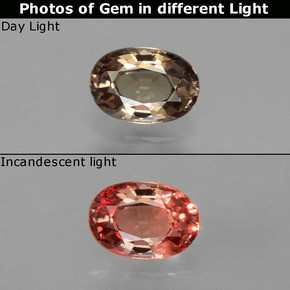 Grenat à changement de couleur de couleur changeante naturelle coupe ovale, 0,64 ct, VVS