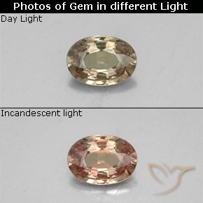 0.52ct Naturel Brun doré Grenat Couleur Changeant, ovale, VS-SI