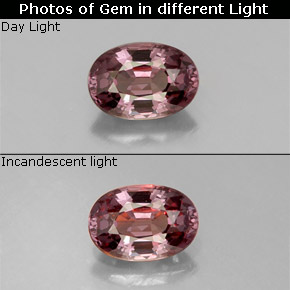Grenat à changement de couleur multicolore naturelle coupe ovale, 0,62 ct, VVS-VS