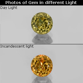 Grenat à changement de couleur de couleur changeante naturelle coupe roude, 0,69 ct, VVS-VS