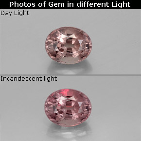 Grenat à changement de couleur de couleur changeante naturelle coupe ovale, 1,16 ct, VS