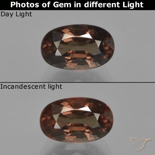 2.64ct Naturel Brun moyen Grenat Couleur Changeant, ovale, VS