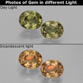 Achetez naturel 1,41ct multicolore grenat à changement de couleur gems, coupe ovale, en provenance tanzanie chez gemselect. en stock, livraison internationale!