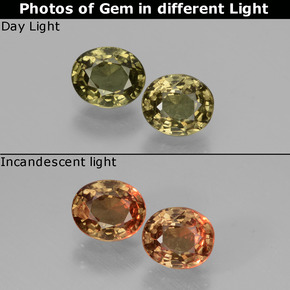 Achetez naturel 1,06ct multicolore grenat à changement de couleur gems, coupe ovale, en provenance tanzanie chez gemselect. en stock, livraison internationale!