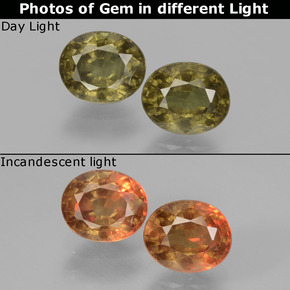 Achetez naturel ct de couleur changeante grenat à changement de couleur gems, coupe ovale, en provenance tanzanie chez gemselect. en stock, livraison internationale!