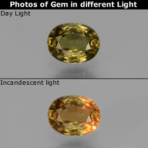 Grenat à changement de couleur jaune naturelle coupe ovale, 0,62 ct, VS