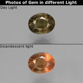 Grenat à changement de couleur jaune naturelle coupe ovale, 0,57 ct, VS